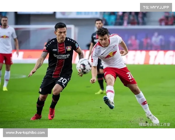 勒沃库森敲定塞尔维亚锋线新星达米亚诺维奇，总价可达800万欧